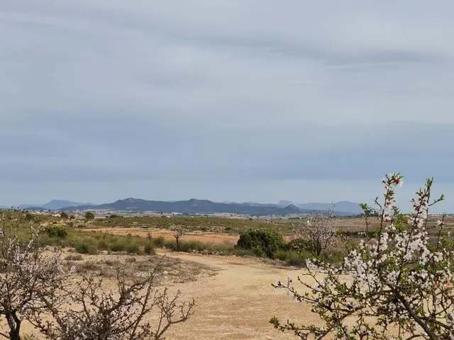 Casa 3 habitaciones 165m² en venta - Comunidad valenciana — 23
