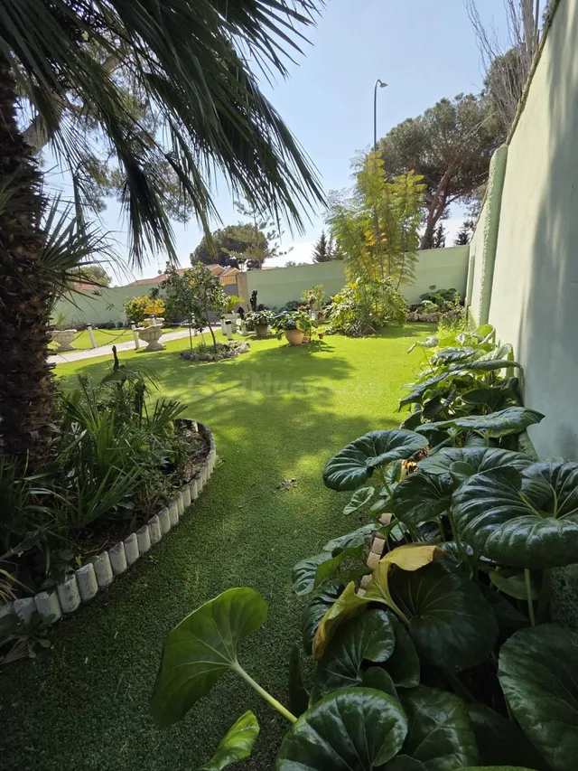 Casa 3 habitaciones 155m² en venta - Altos de Campoamor - foto 2