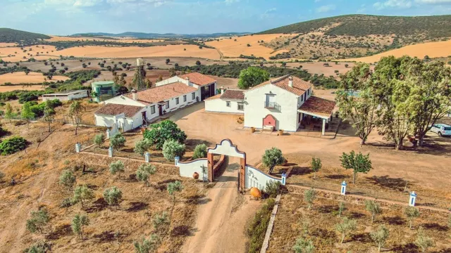 Venta de finca cinegética y agrícola en Ciudad Real - foto 2