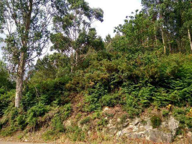 VENTA DE TERRENO EDIFICABLE EN LUGAR DE VENTOSA S/N (AMES) S - foto 3