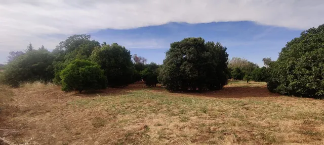 TERRENO URBANIZABLE SECTORIZADO EN ALMENSILLA — 8
