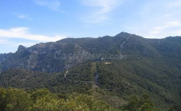 Venta PARCELA 48.000 mts Campo Ricote-ZONA LAS VENTANAS