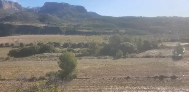 TERRENO OPTIMO PARA CAMPING — 3