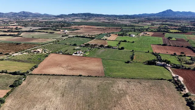 Finca rústica en Manacor con proyecto de ejecución — 7