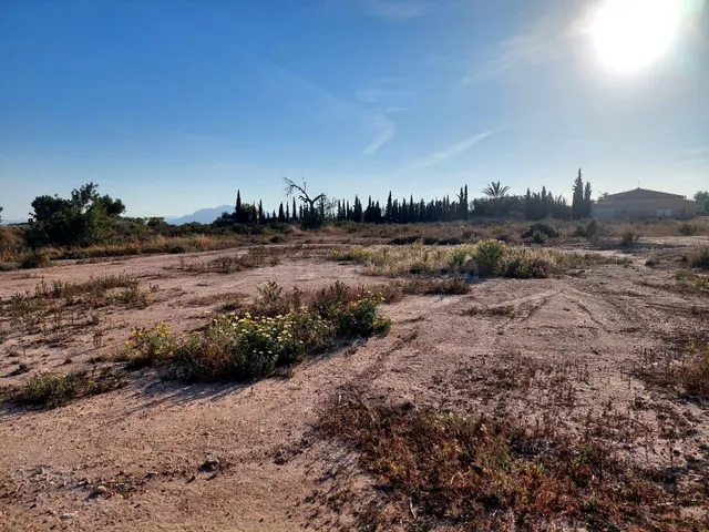 Se vende terreno de 13.000m2 en zona Squash - foto 3