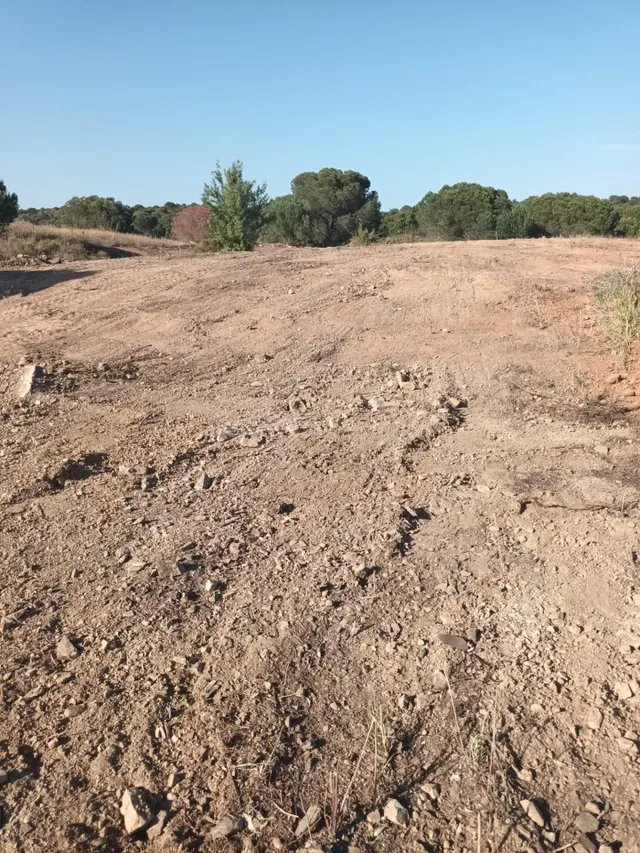 Parcela en Venta en Av. Rosalía de Castro, Costa Esuri - foto 2