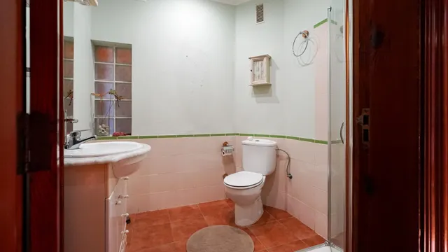 CASA REFORMADA CON AMPLIO TERRENO EN LA SOLANA, SAN MATEO — 29