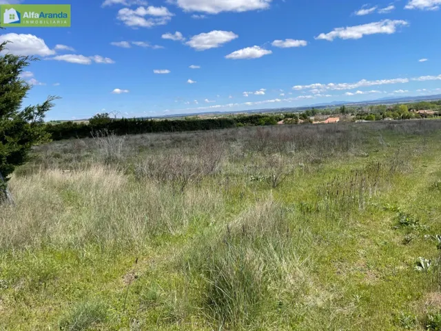 FINCA RUSTICA CERCANA A ARANDA - foto 3