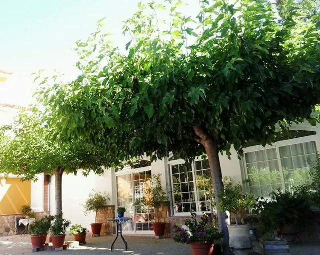 Estupendo chalet en venta — 4