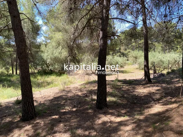 En Venta/Disponible: Finca Rústica en L'Olleria (Zona Barran - foto 2