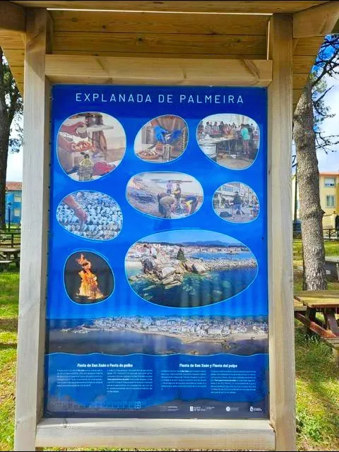 Oportunidad 6 bloques con 36 viviendas en Palmeira — 14