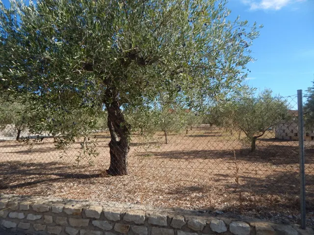 Terreno urbanizable en Ontinyent — 2