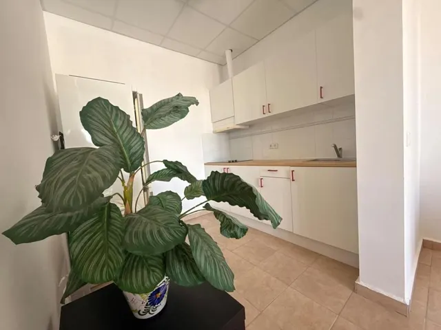 Villa 4 habitaciones 384m² en venta - Oltamar-Cucarres — 20