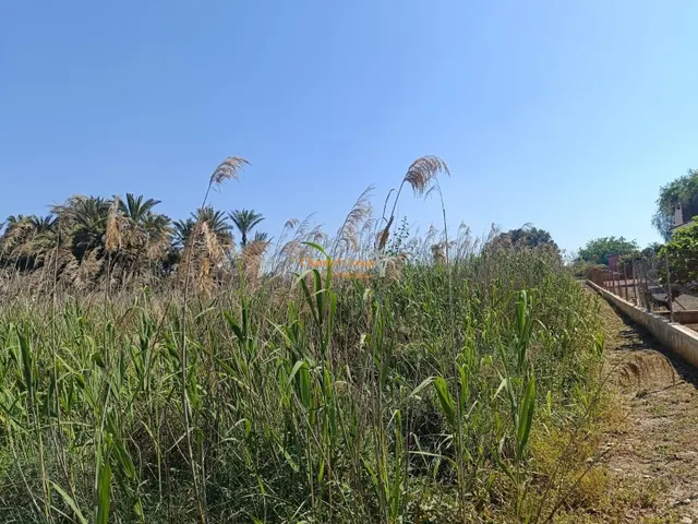 Parcela en venta - La Hoya-Daimes-El Derramador - foto 2