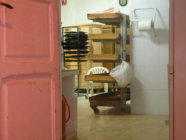 TRASPASO DE HORNO  BOLLERÍA  EN EL BOTANIC — 10