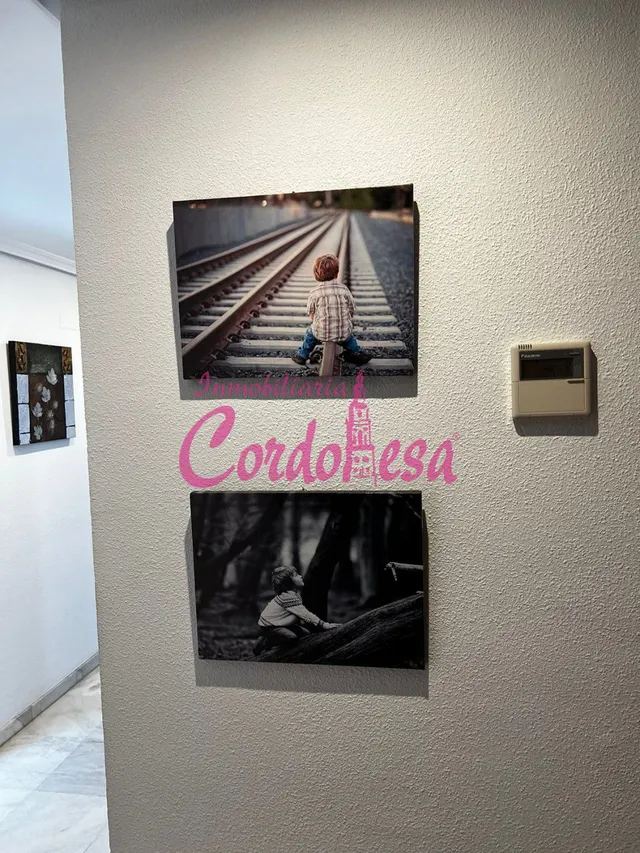 MAGNIFICO PISO EN ALQUILER CON COCHERA  EN VIAL NORTE — 25