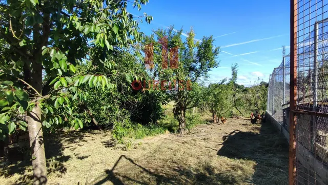 FINCA DE MÁS DE TRES MIL METROS CUADRADOS EN SAN CIBRAO DAS VIÑAS. — 13