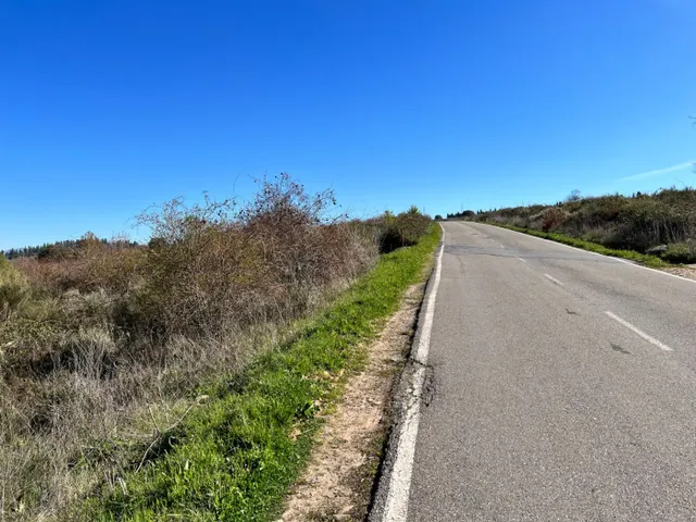 FINCA RUSTICA EN SANTO TOMAS DE LAS OLLAS — 9