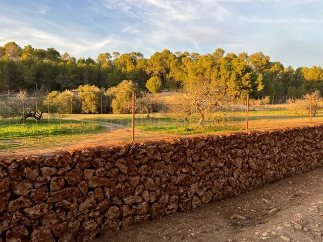 Parcela en venta - Porreres - foto 2