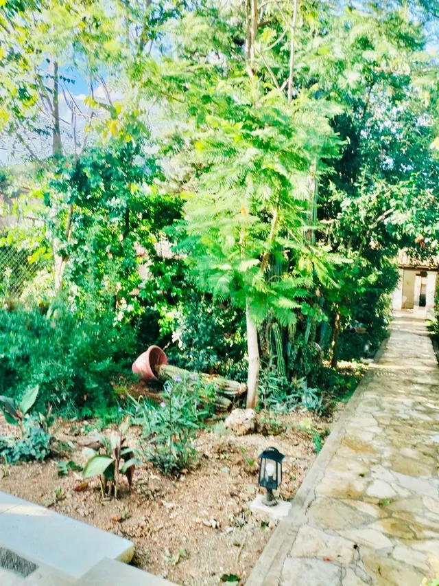 Encantadora Planta Baja Reformada en Alaró con Piscina Privada — 23