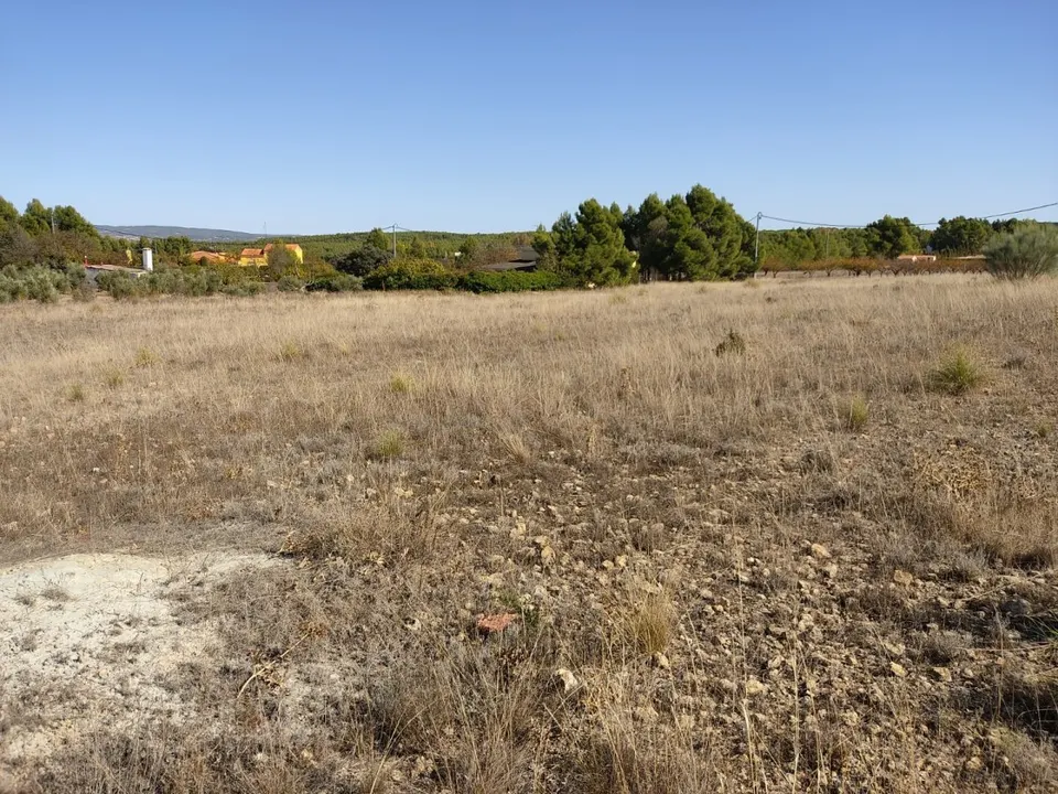 EXCELENTE PARCELA EN PARAJE LOS ESPETONES - DISPONE DE POZO