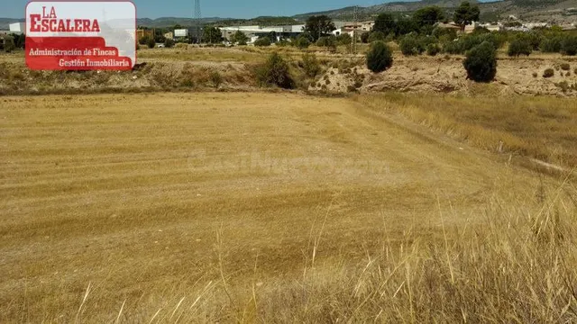 Parcela rústica en Ibi para alquilar. Dispone de pozo y dere - foto 2
