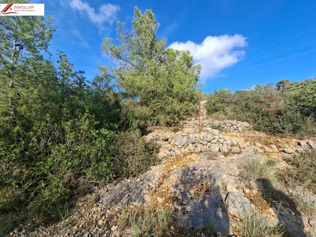 OCASIÓN FINCA RÚSTICA CON DOS CASAS INDEPENDIENTES, IDEAL DOS FAMILIAS!! — 43