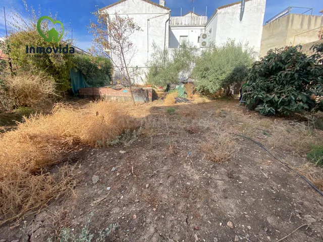 CASERON EN ALCOLEA CON TERRENO - foto 2