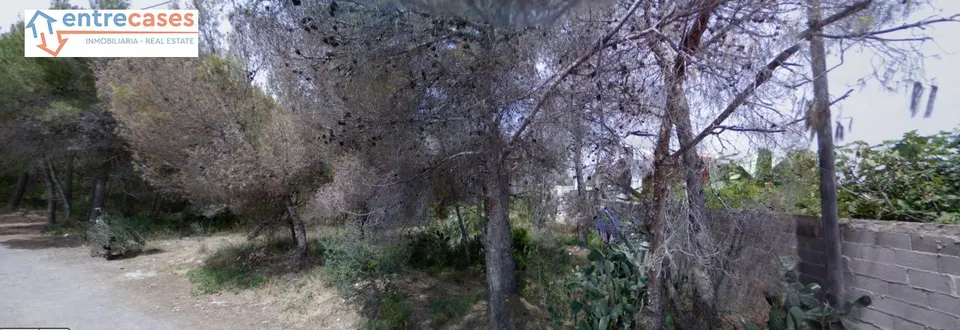 PARCELAS URBANAS NO PROGRAMADAS EN EL CAMINO VIEJO DE TERUEL DE SAGUNTO