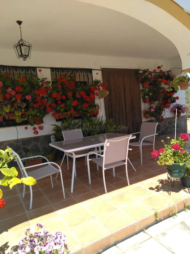 FINCA DE OLIVAR CON VIVIENDA LEGAL JUNTO AL RIO GUADALBARBO - foto 3