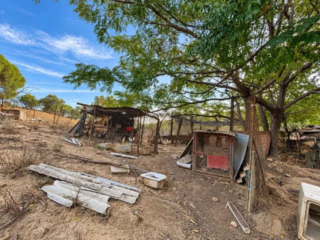 Finca rústica de 18.444 m2 con pozo y construcción catastrada en Alcalá de los Gazule — 17
