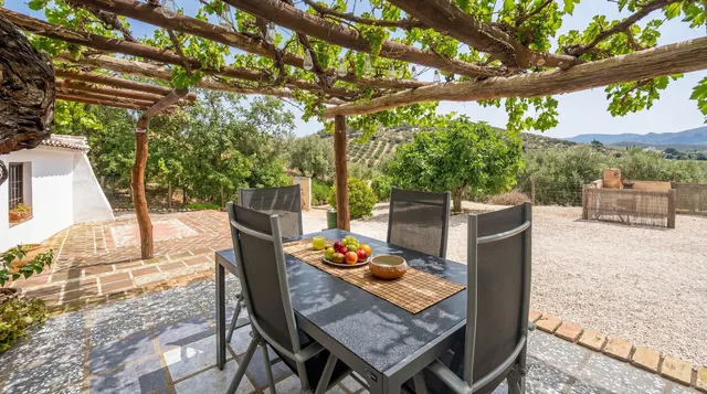 Finca rústica 9 habitaciones 738m² en venta - South of spain — 11