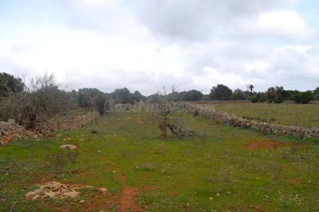 Finca rústica con posibilidad de hacer una vivienda en Santa - foto 2
