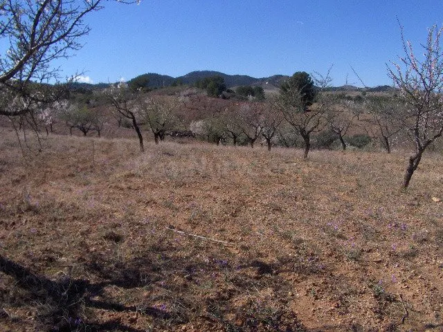 FINCA RÚSTICA EN ORTILLO - foto 4