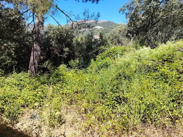 Casa de campo-Masía en Venta en Algatocin Málaga — 6