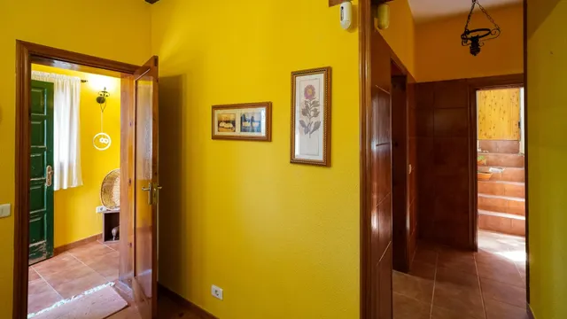 CASA REFORMADA CON AMPLIO TERRENO EN LA SOLANA, SAN MATEO — 28