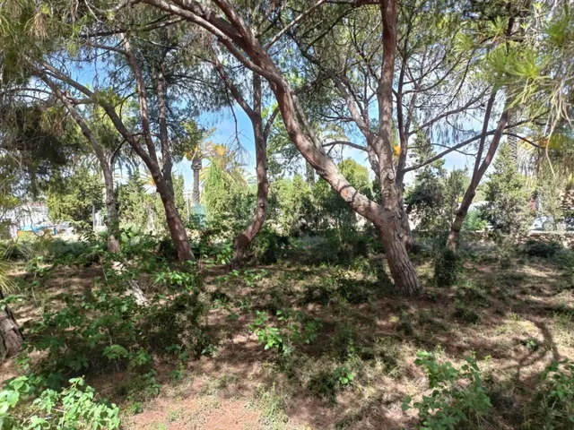 Parcela en venta - Cabo Roig — 4