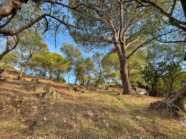 Finca rústica de 18.444 m2 con pozo y construcción catastrada en Alcalá de los Gazule — 34