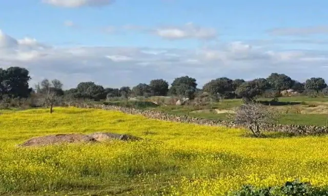 ¡¡Finca rústica de 250.000 m2!!