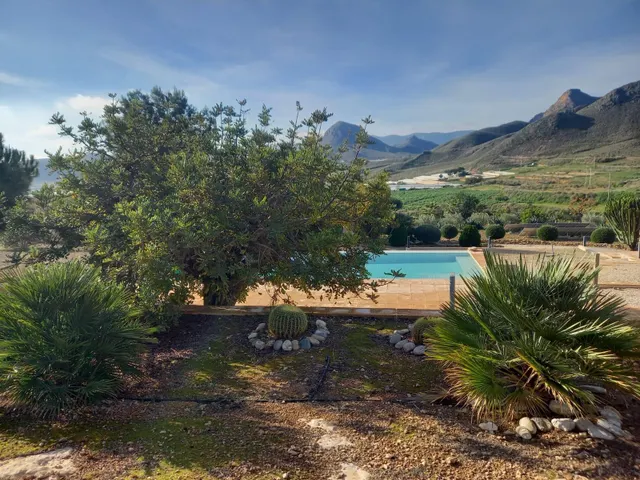 Refugio único con 3 viviendas, olivar y energía solar – Costa Cálida, Murcia — 6