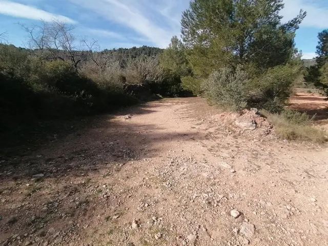 FINCA RUSTICA EN BORRIOL — 3
