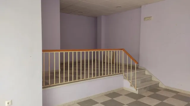 LOCAL COMERCIAL "ZONA CENTRO" — 3
