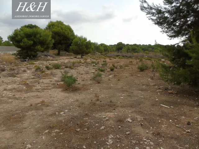 Se vende terreno urbano de 2000 m2 en Betera. / H H Asesores, Inmobiliaria en Burjassot/ — 5