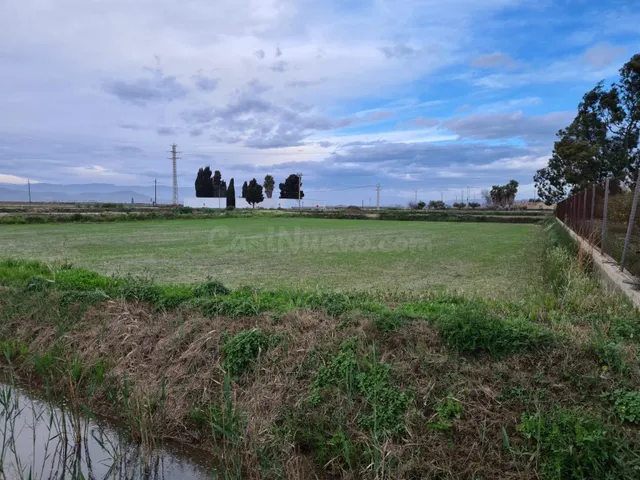 Se vende finca rústica de regadío en Poble Nou del Delta, Am - foto 4