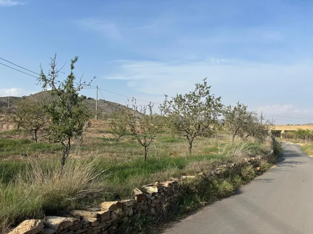 Se vende terreno edificable con piscina de 10x20 en Cala Por - foto 4