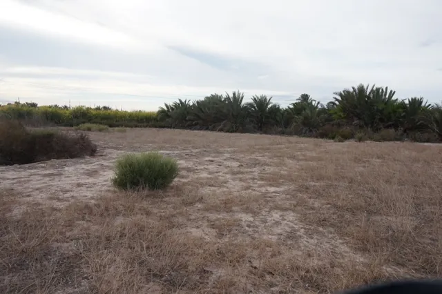 AMPLIA PARCELA DE 13000 M2 ZONA DE LA HOYA — 11