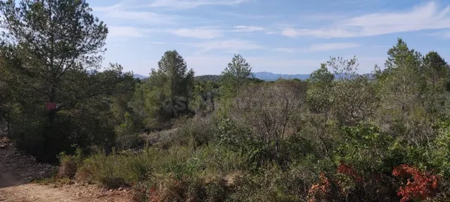 Finca rústica de 30.000 m2 en plena naturaleza a solo 6 km del mar en l’Ametlla de Mar — 2