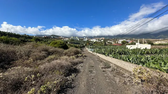 OPORTUNIDAD ÚNICA: GRAN FINCA DE 31.000 M2, secciones URBANA, RÚSTICA, ASENTAMIENTO RURAL Y AGRÍCOLA — 33