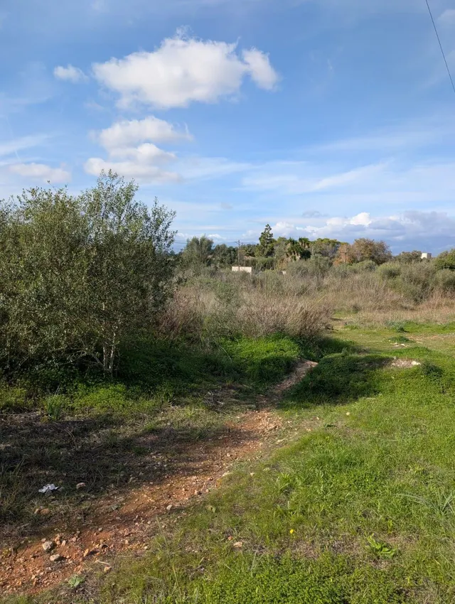 MAGNIFICA FINCA RUSTICA EN SINEU - foto 3
