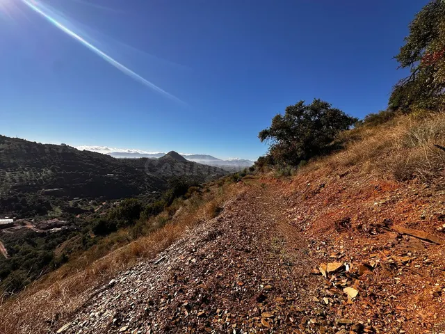 Parcela en venta - Puerto Sol-Los Almendros-El Tomillar — 4